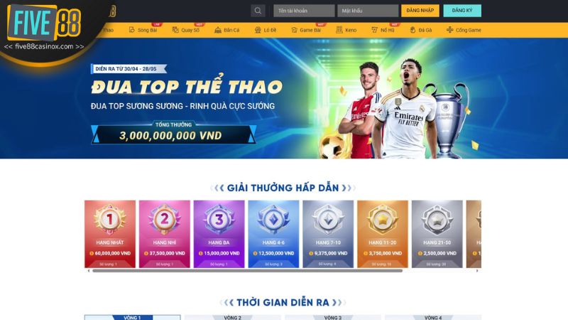 Top 3 quyền lợi đặc biệt khi tuân thủ điều khoản và điều kiện tại FIVE88